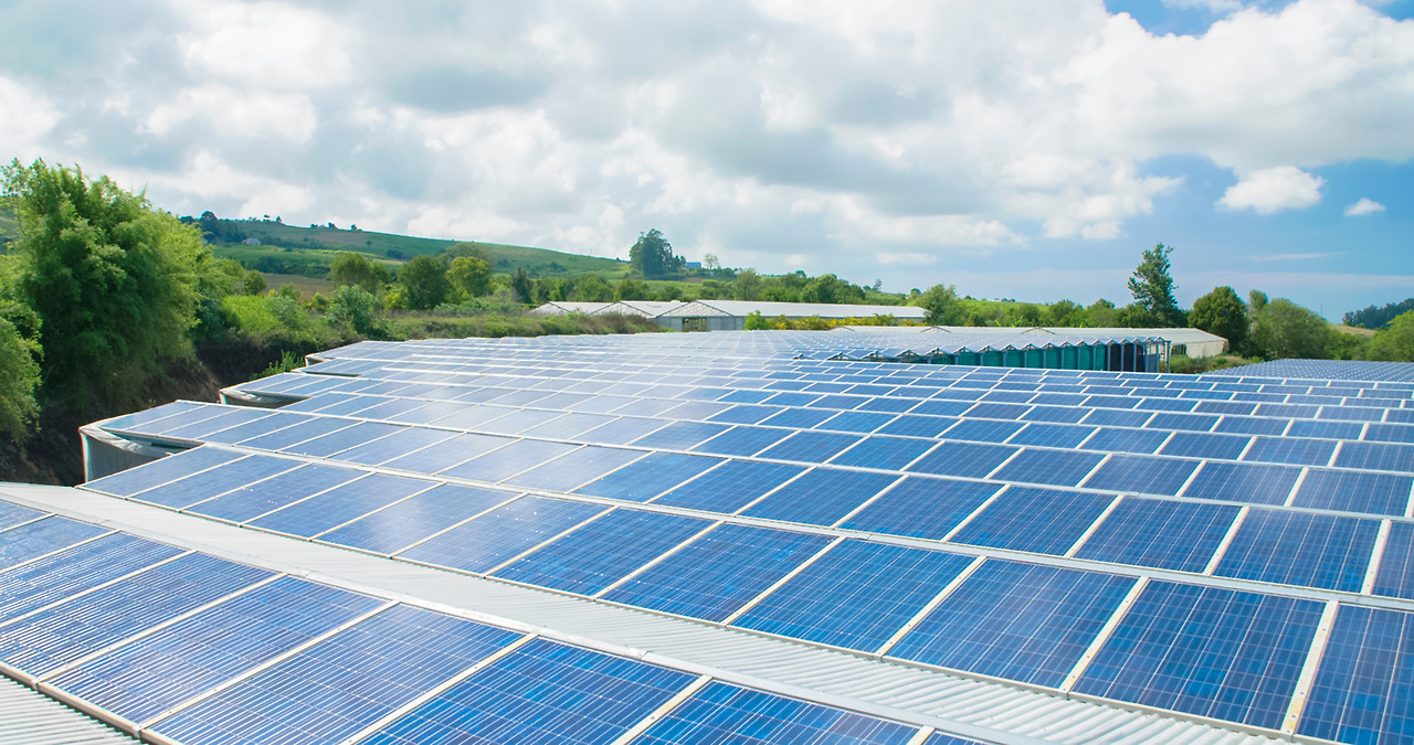 내일07_에너지_프랑스 레위니옹섬-태양광광발전.jpg