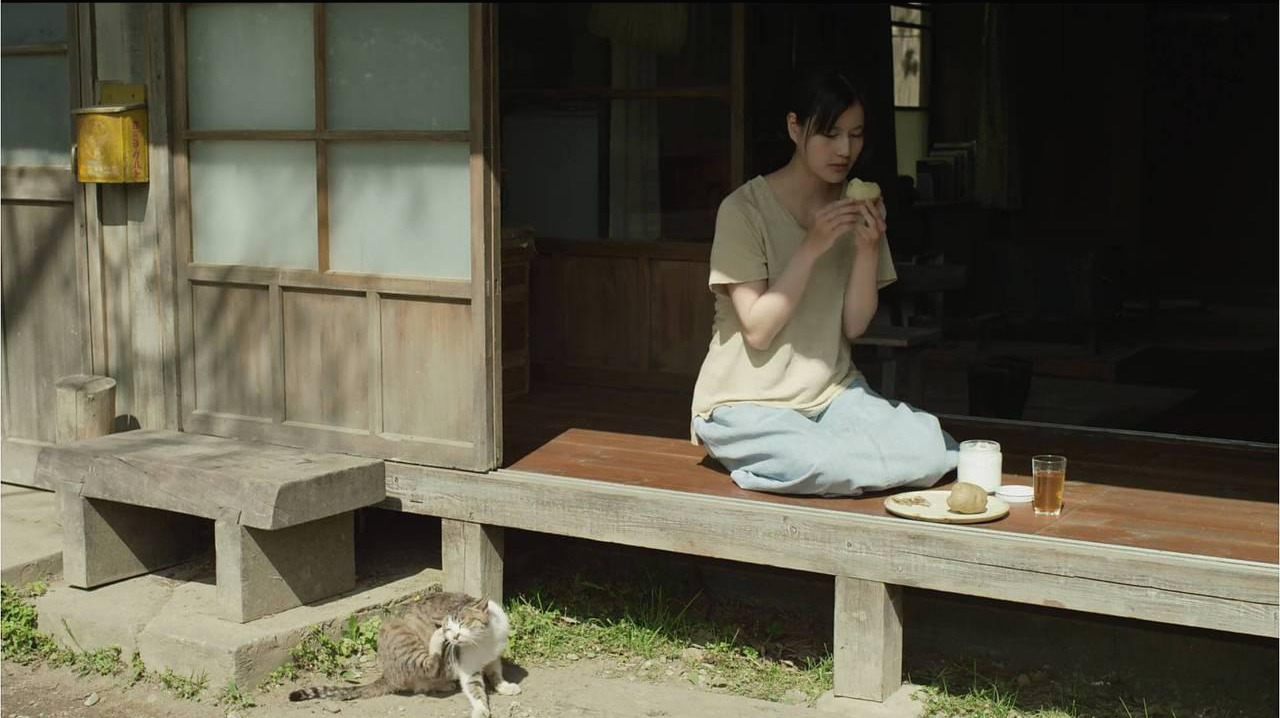 이치코 고양이.jpg