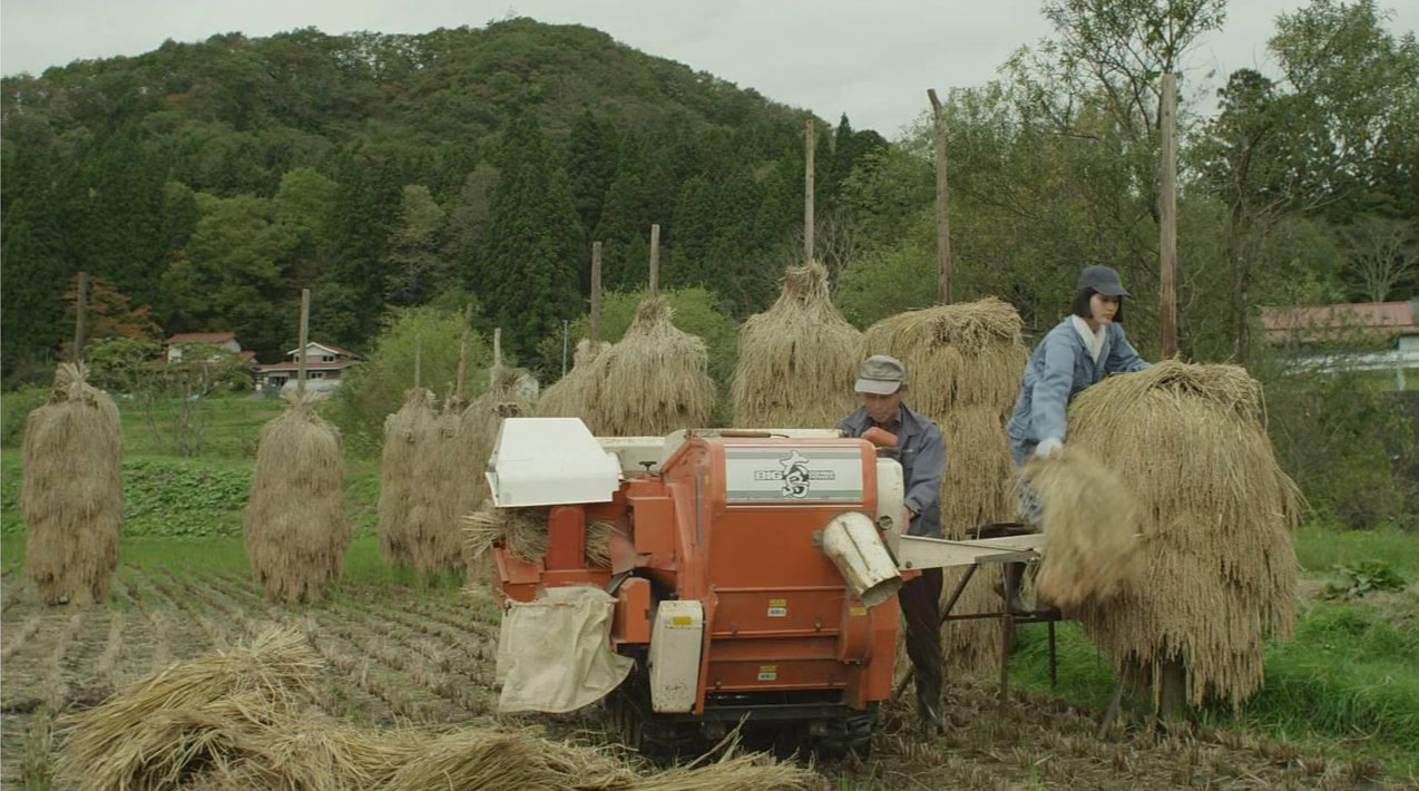 이치코 농사.jpg