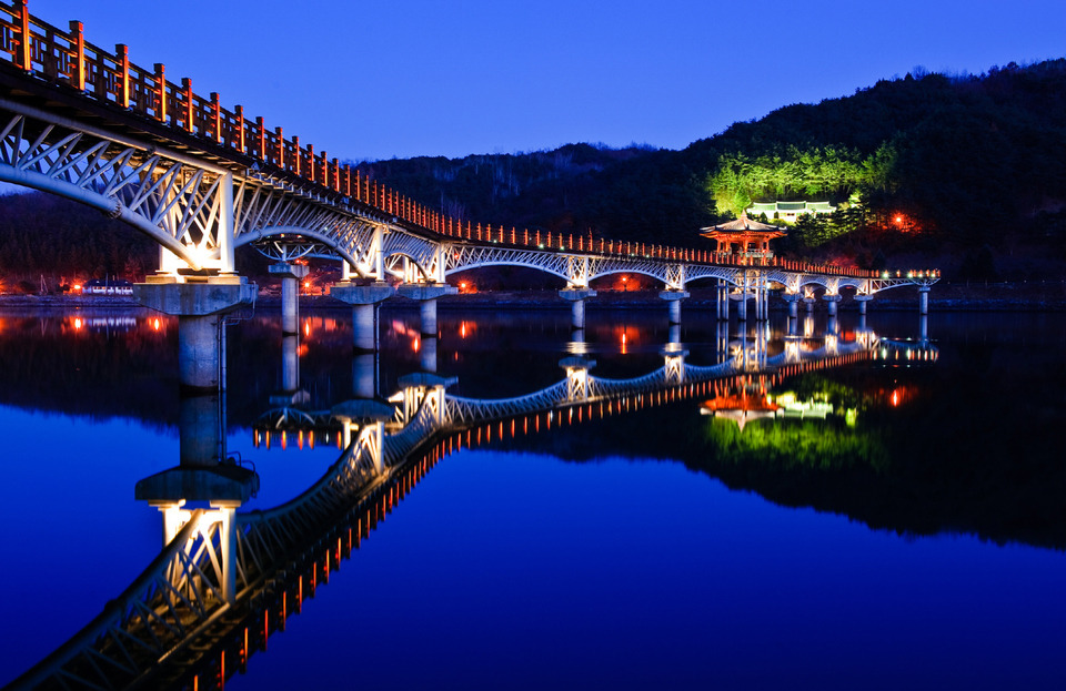 안동 월영교 야경.jpg