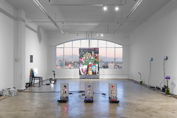 PI-Longevity Buns-install-1.jpg