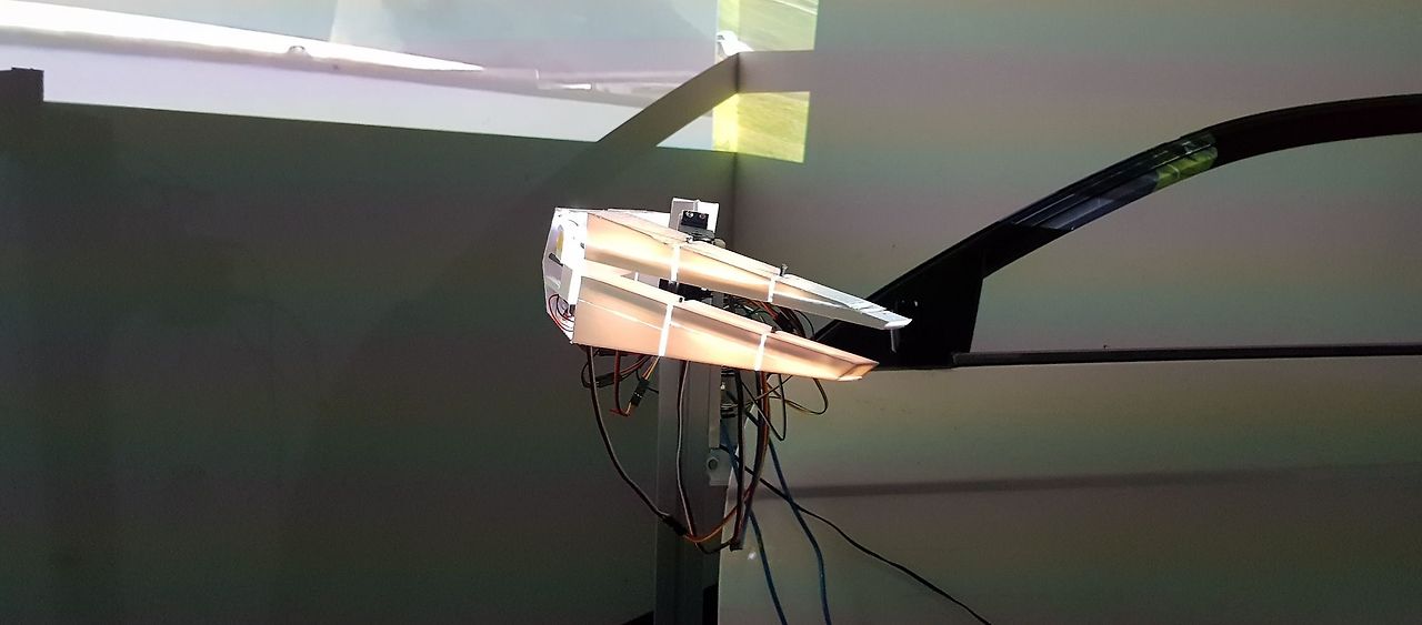 20181111_025301_crop (1).jpg