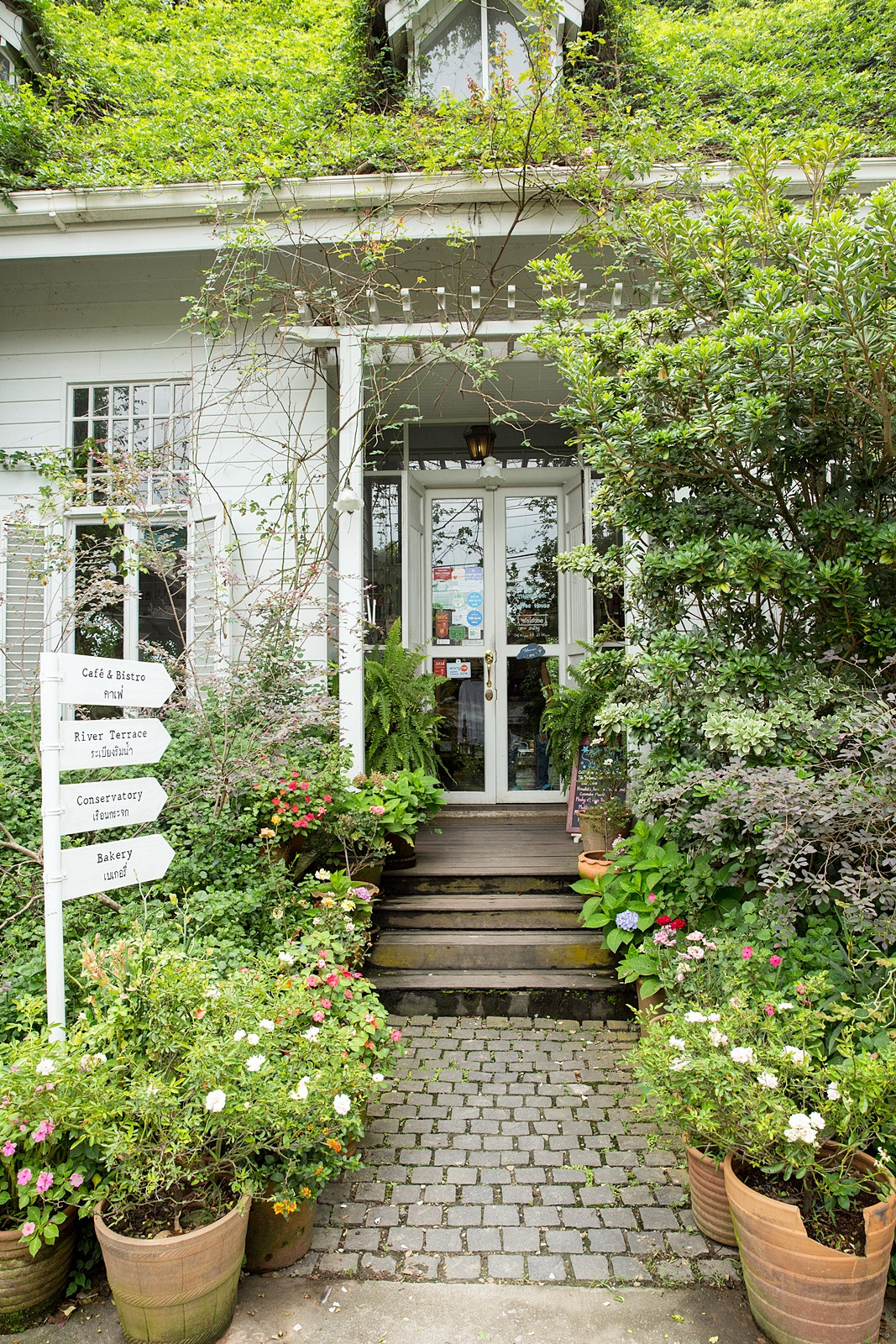 치빗 탐마 다 (2).jpg