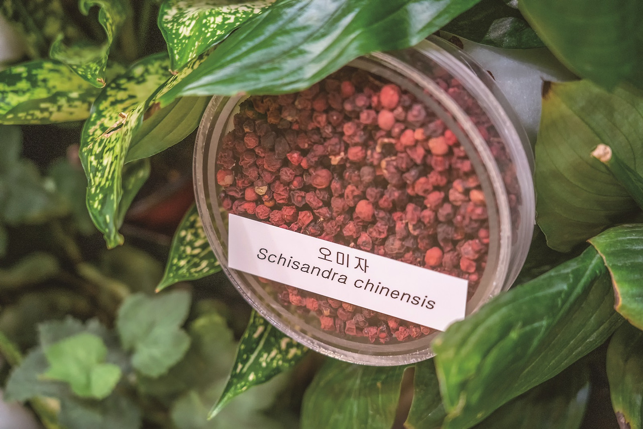 서울식물원 (16).jpg