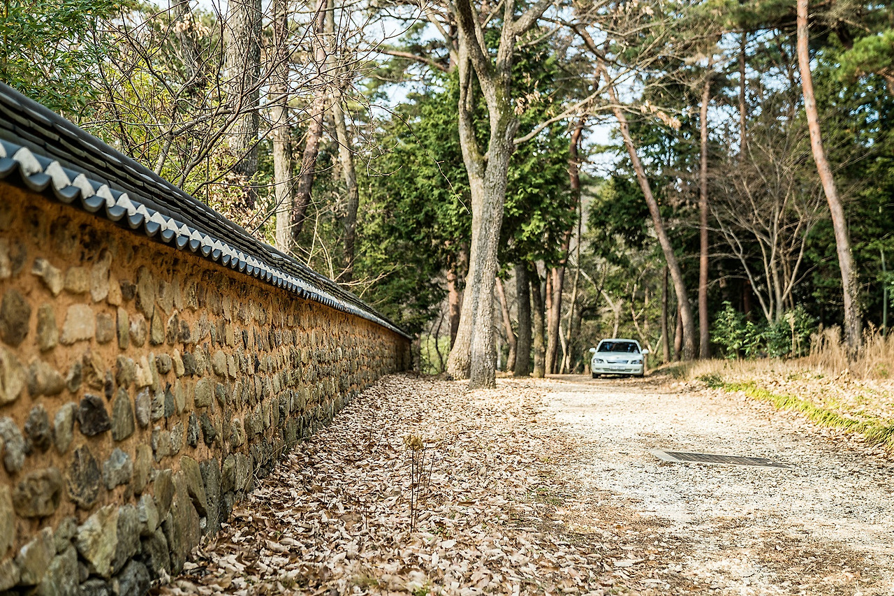 녹우당 돌담길 (2).jpg