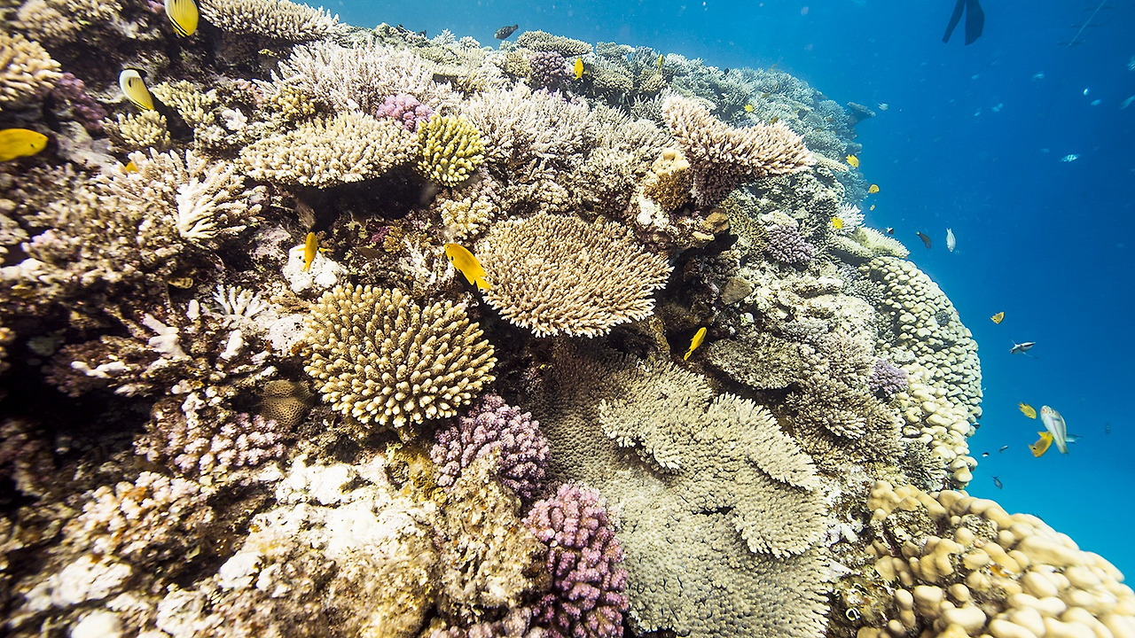 02_이집트수중 (2).jpg