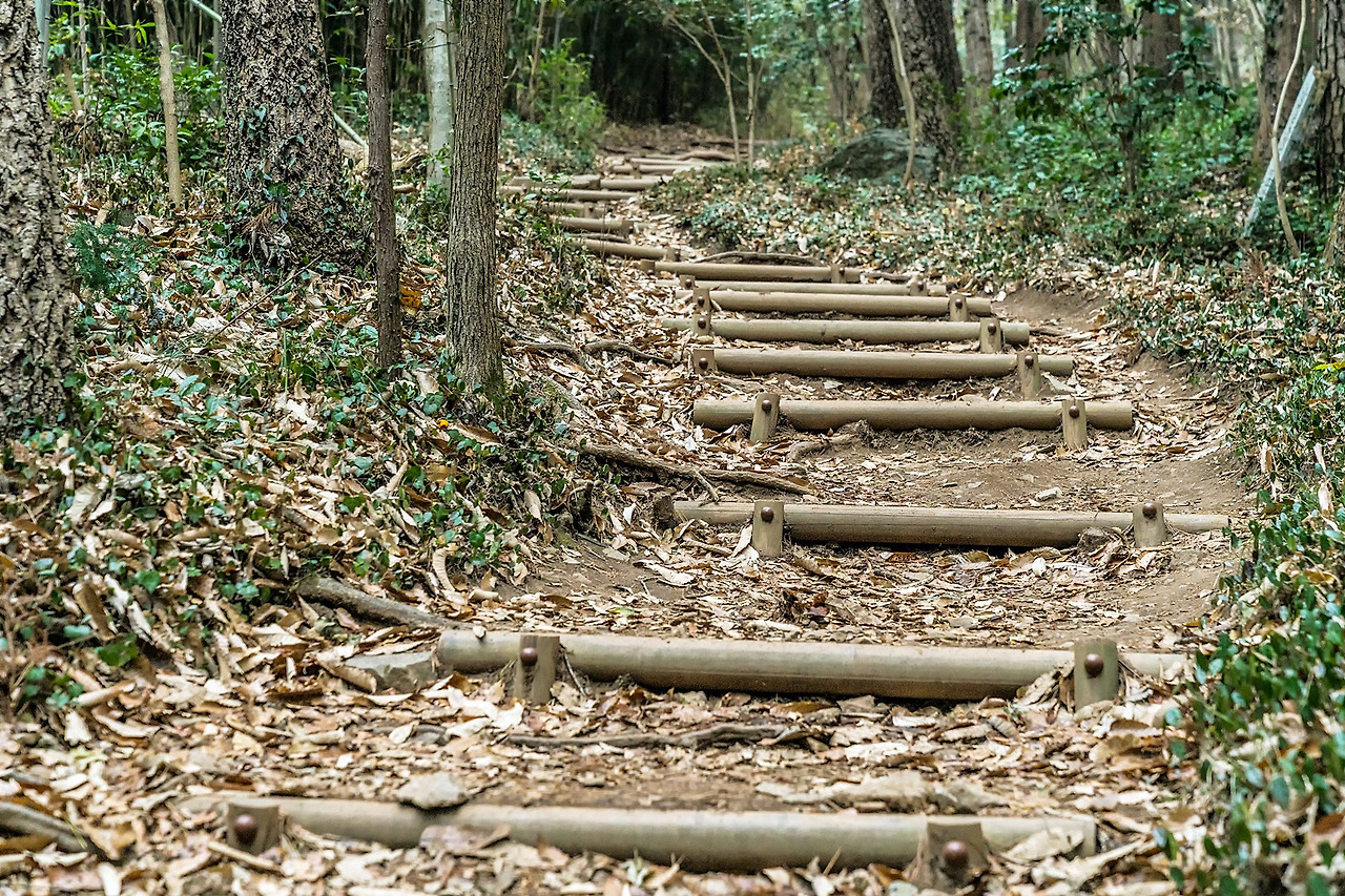 백련사와 다산초당 사이 오솔길 (4).jpg