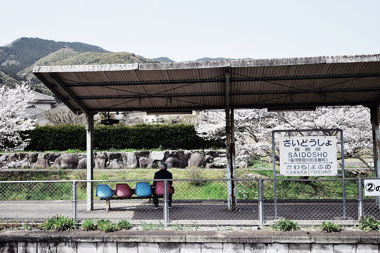 5 지쿠오가와라코스 (2).jpg