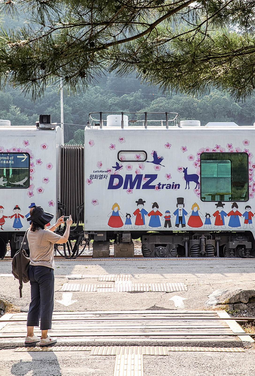 DMZ-train(1).jpg