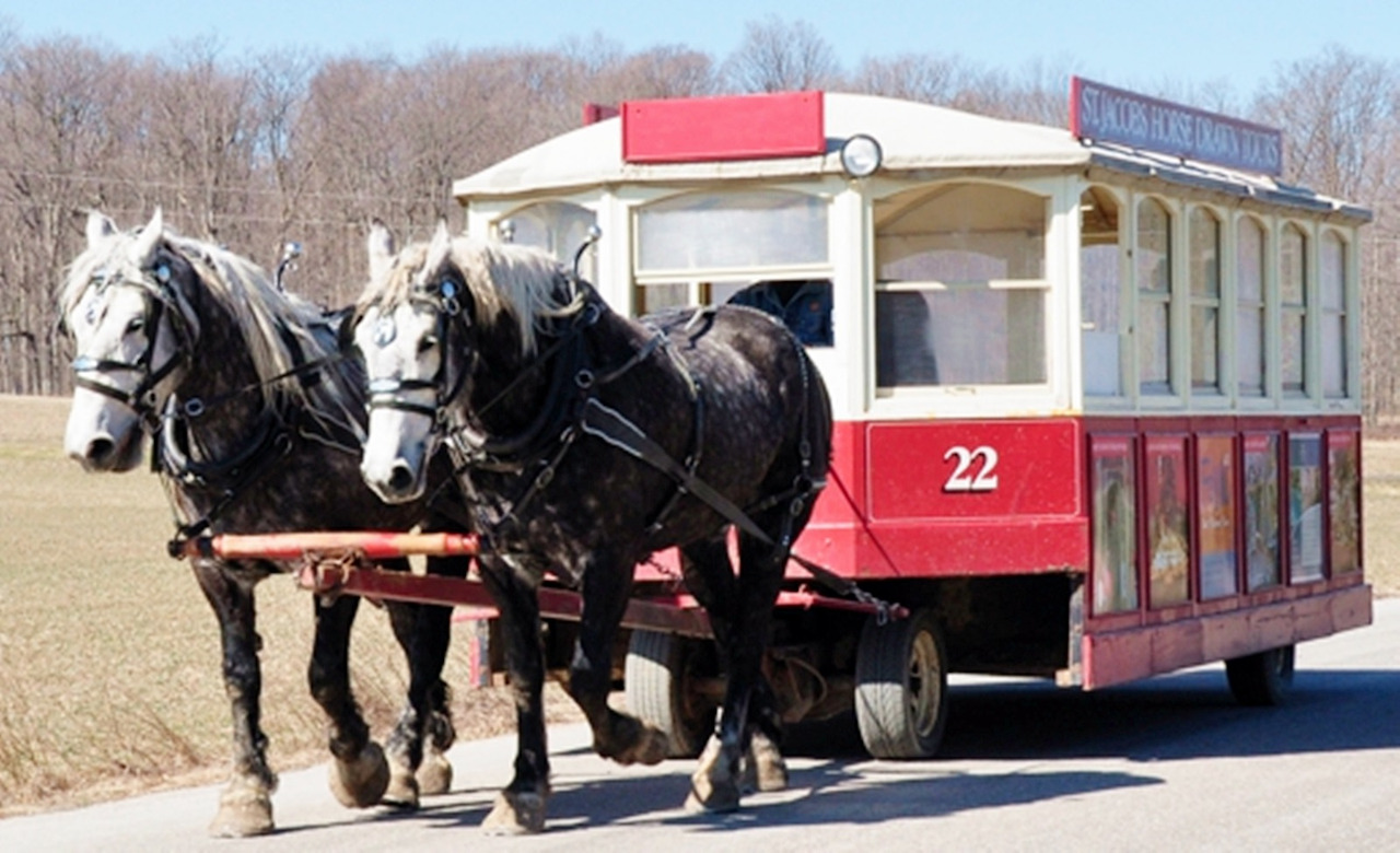 St.Jacobs 마차투어_4.jpg