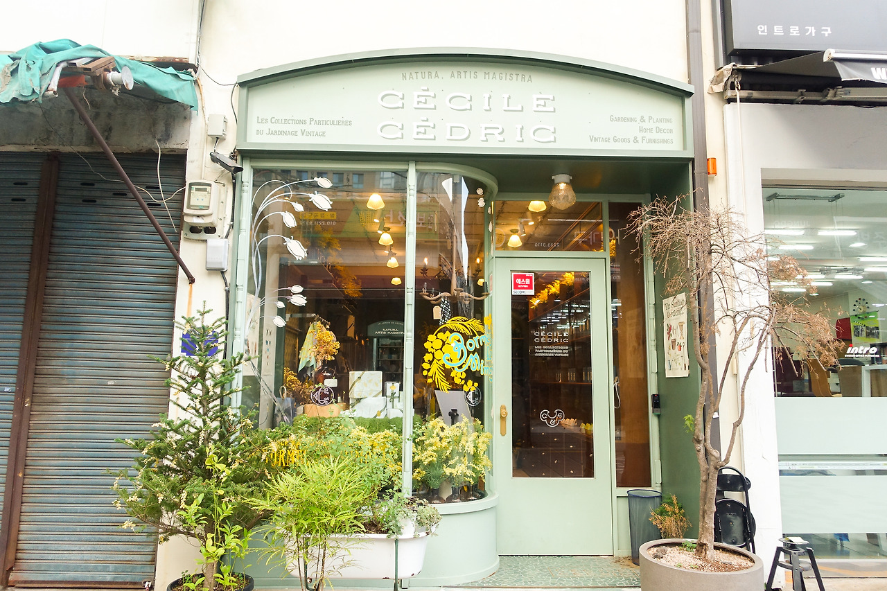 세실앤세드릭_산뜻한 외관.jpg