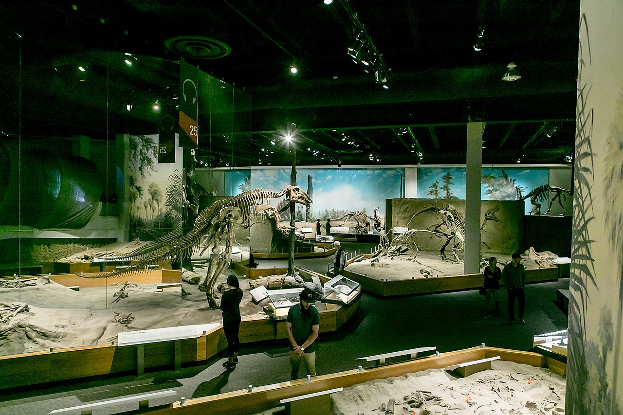 (중컷)로얄티렐박물관201709전명진 (3).jpg