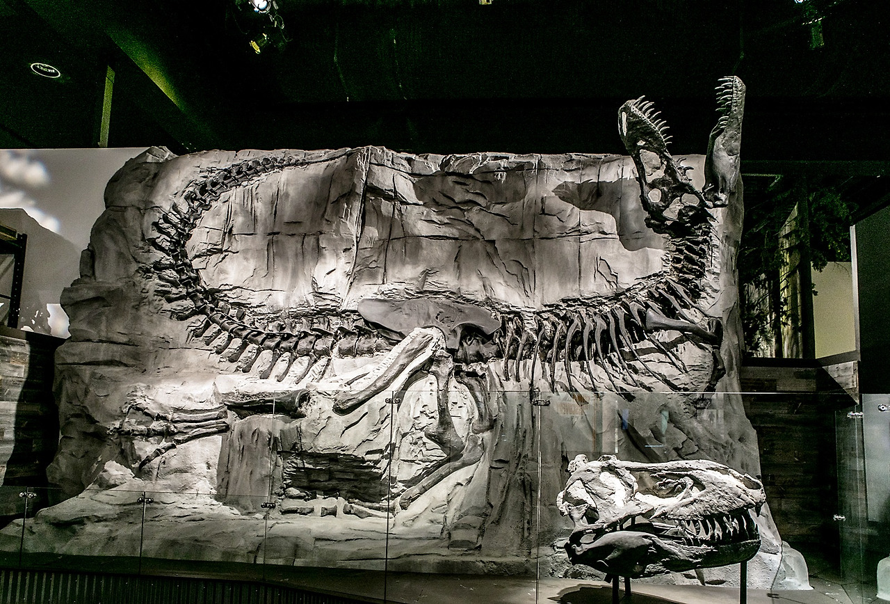 (중컷)로얄티렐박물관201709전명진 (1).jpg