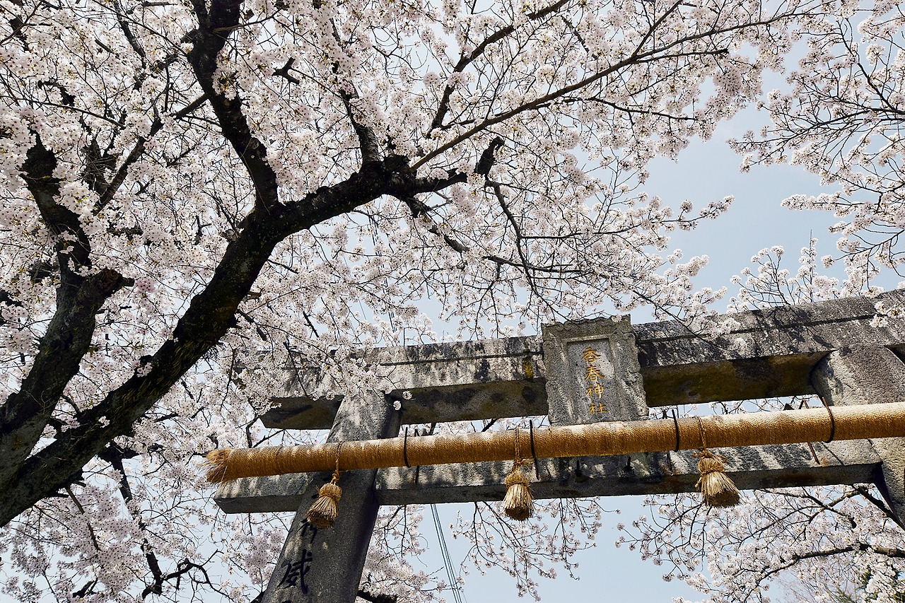 5 지쿠오가와라코스 (4).jpg