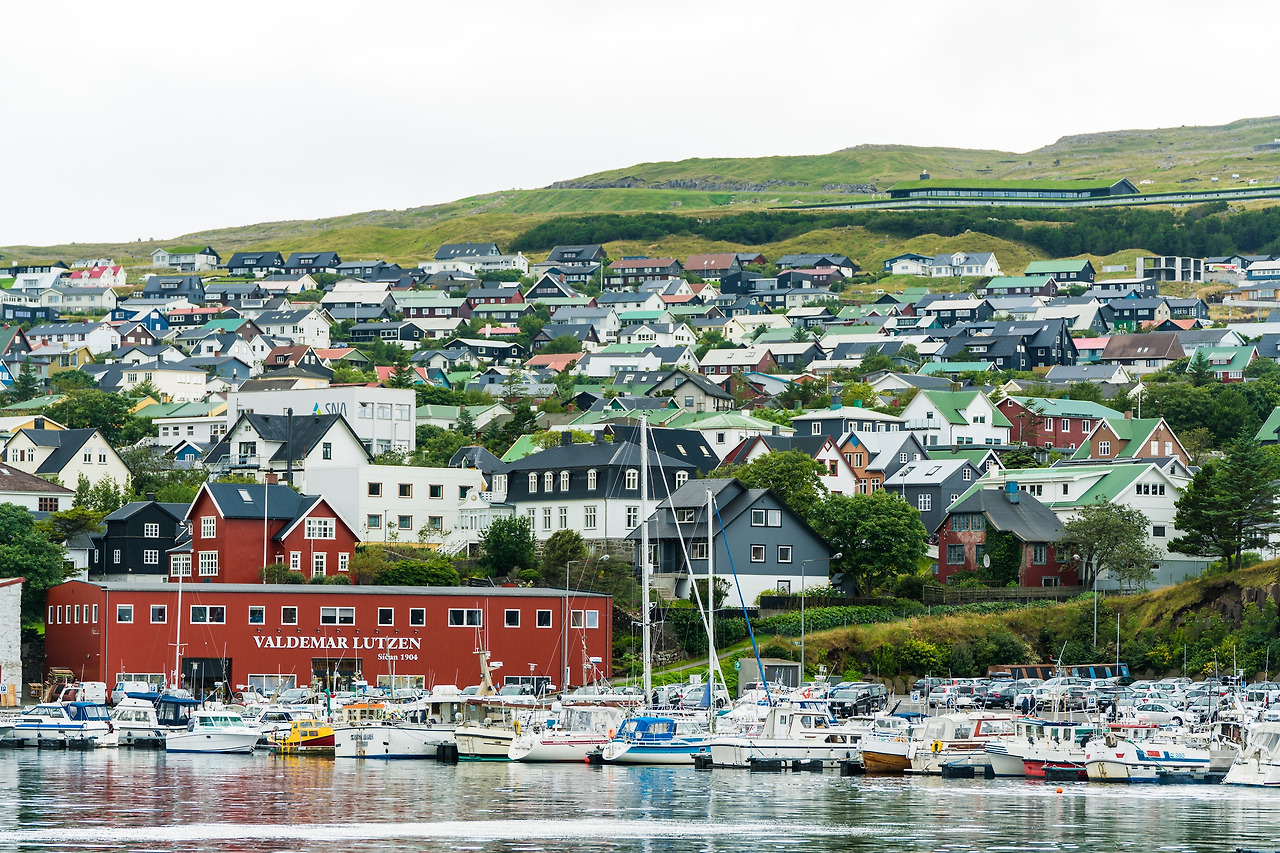 토르스하운 (1).jpg