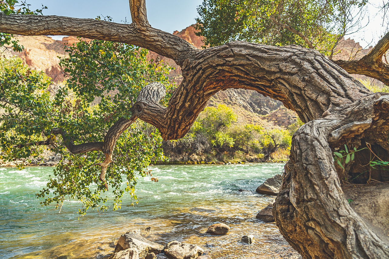 카자흐스탄_알마티 (36).jpg