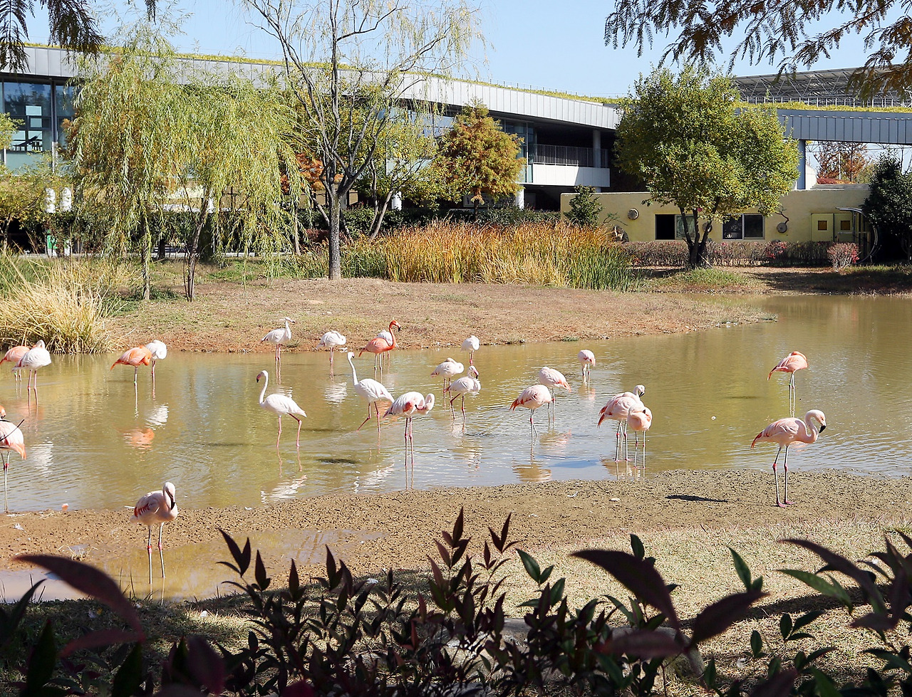순천 국가정원.jpg