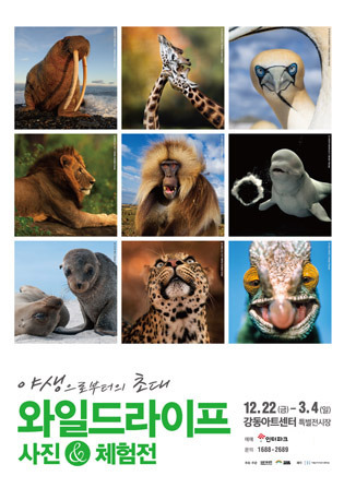 와일드라이프 사진전.jpg