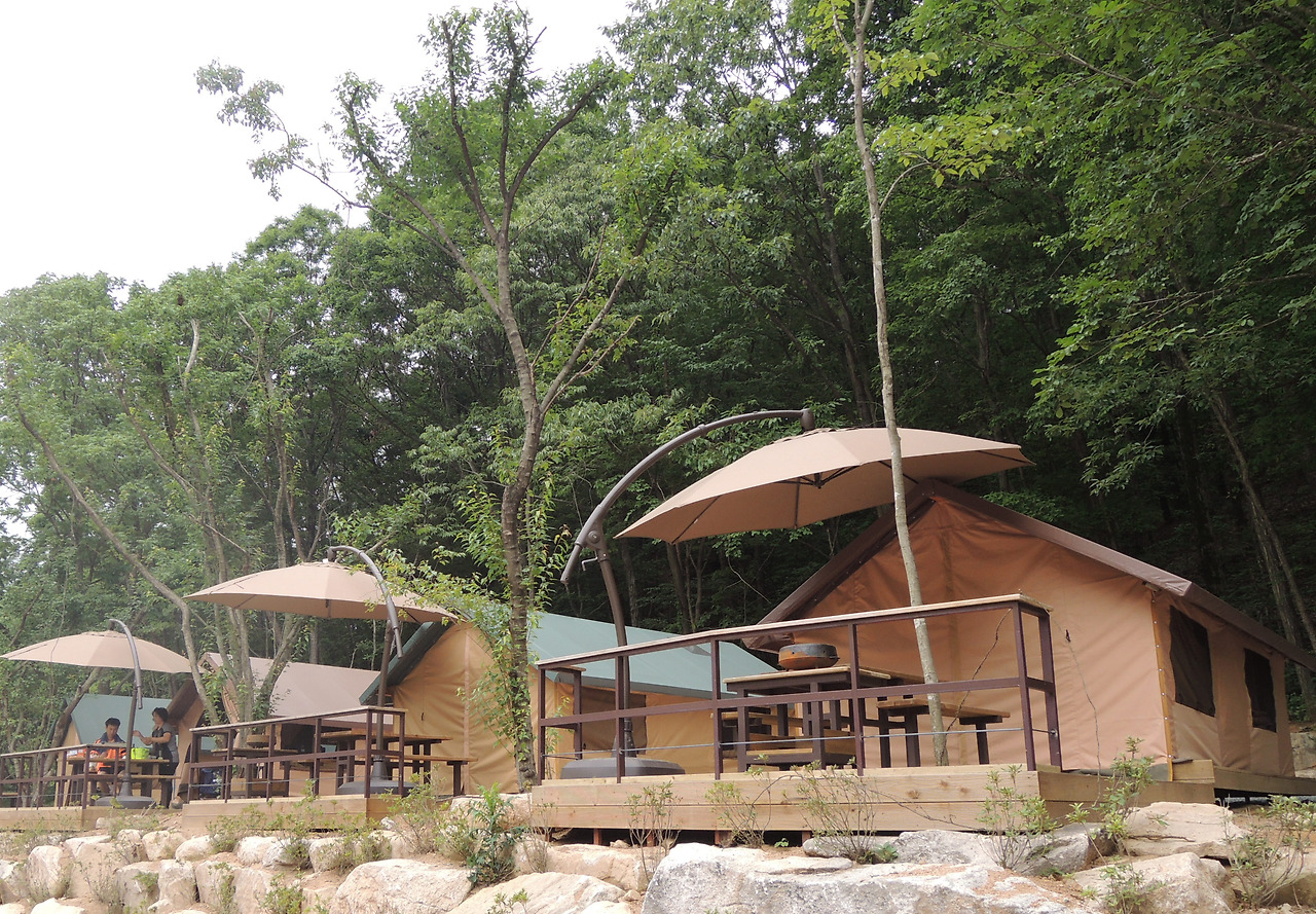 4야영장 전경.jpg