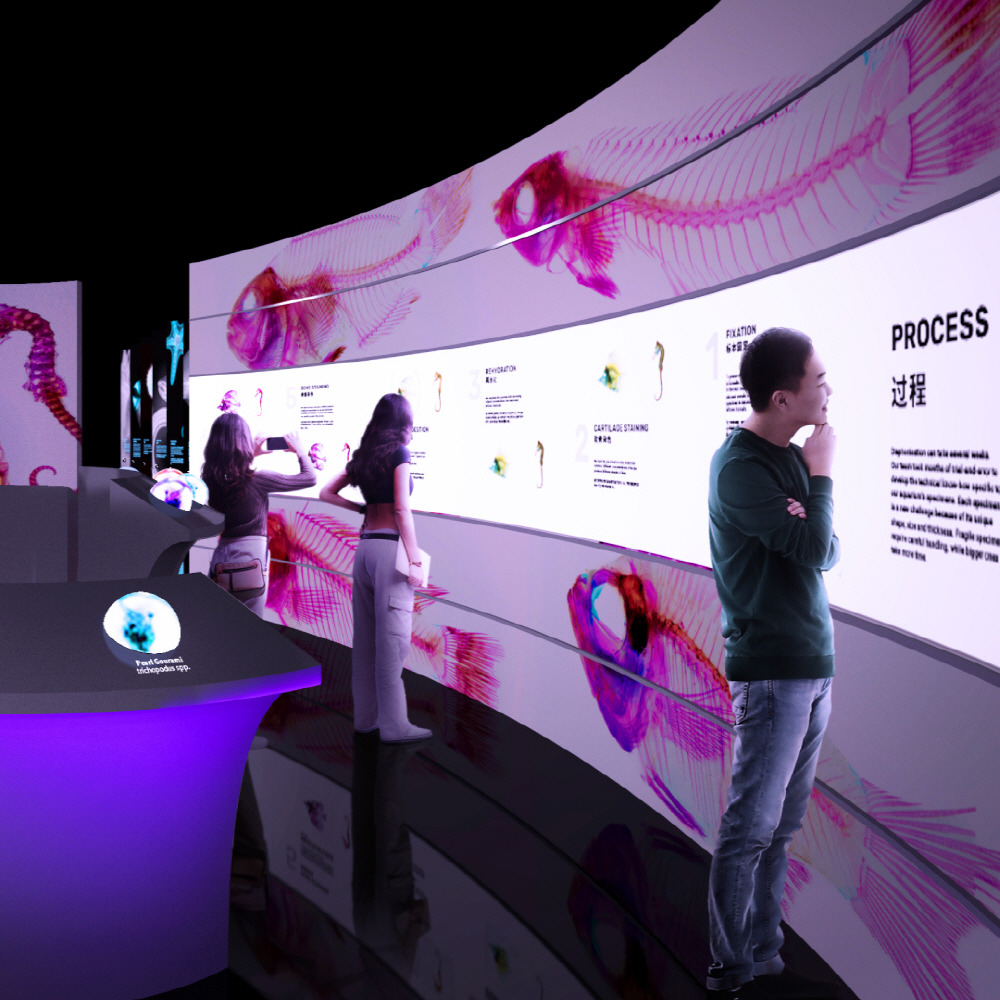 VibranSEA_Carousel_1080x1080_Card 3.jpg