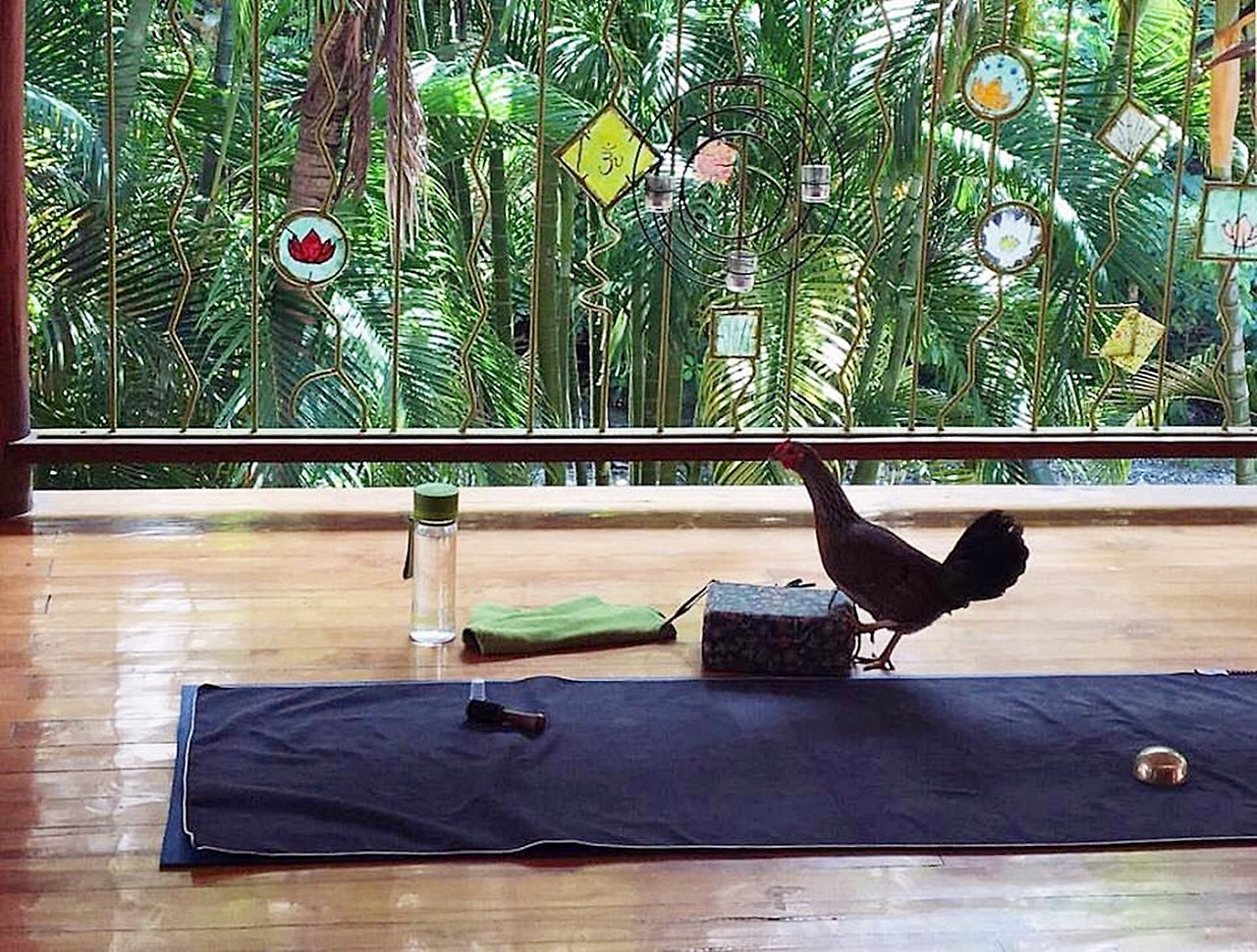 6_이건 꼭 써 달라는!.jpg