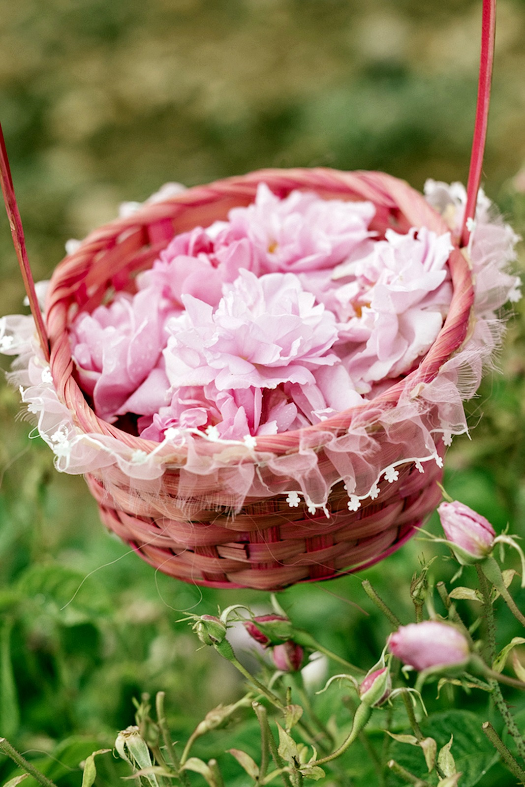 으스파르타 (65).jpg