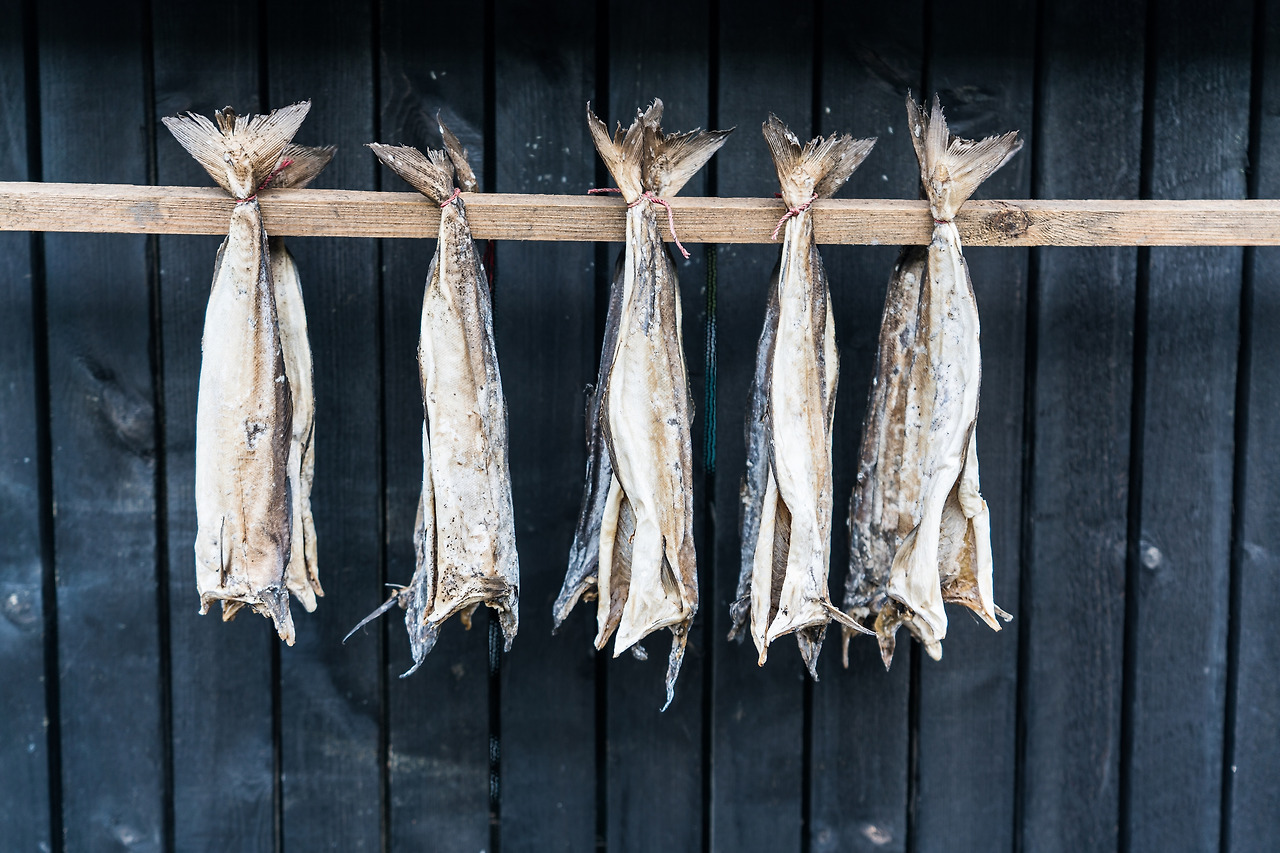 교그브gjogv (2).jpg