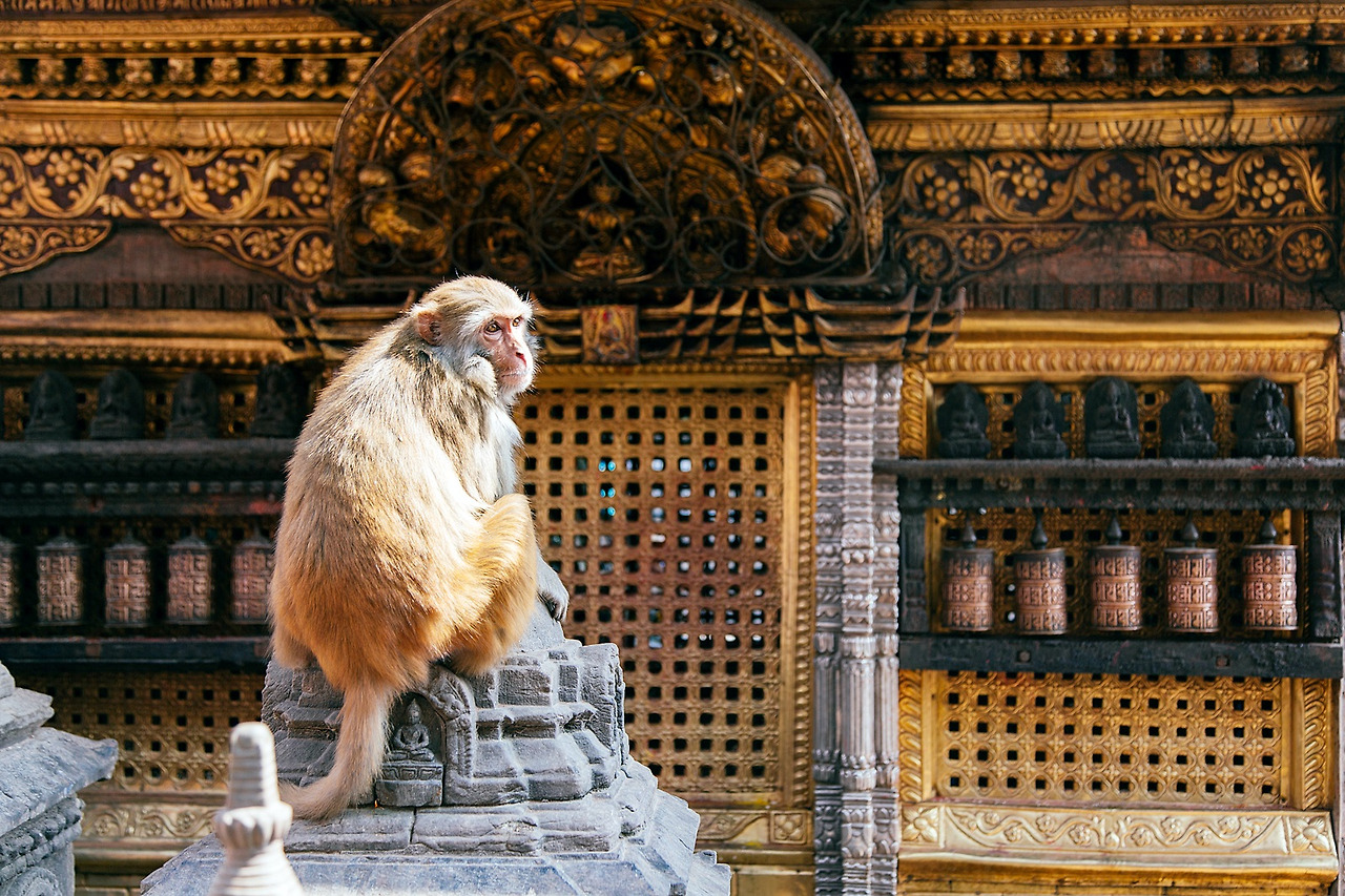 Kathmandu-Day1-0025-MonkeyTemple.jpg