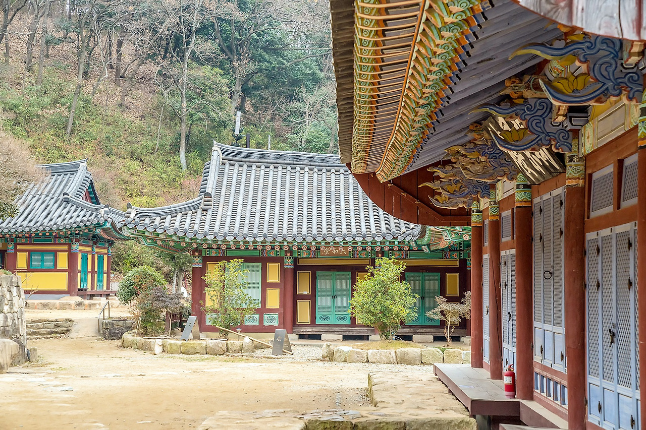 강진 백련사 (6).jpg