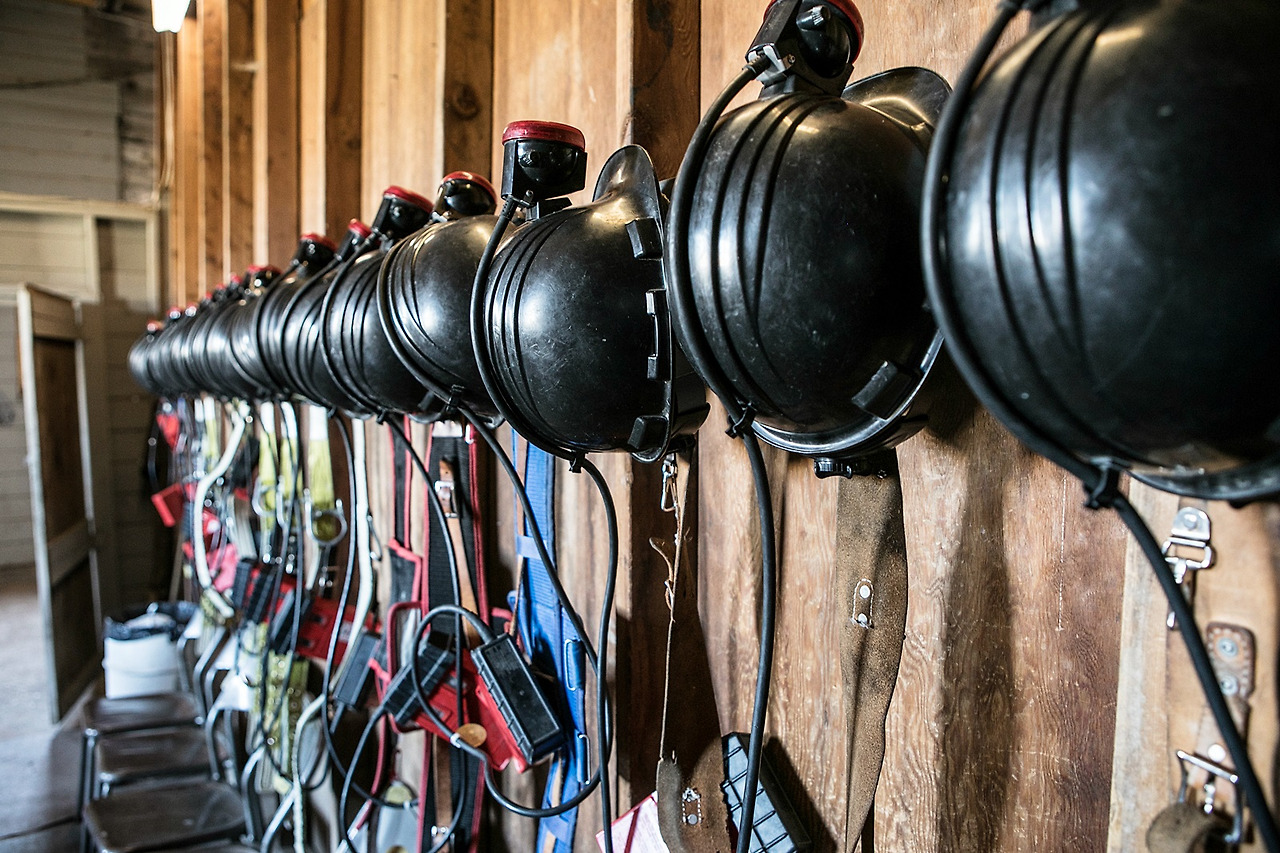 아틀라스콜마인히스토리사이트201709전명진 (7).jpg