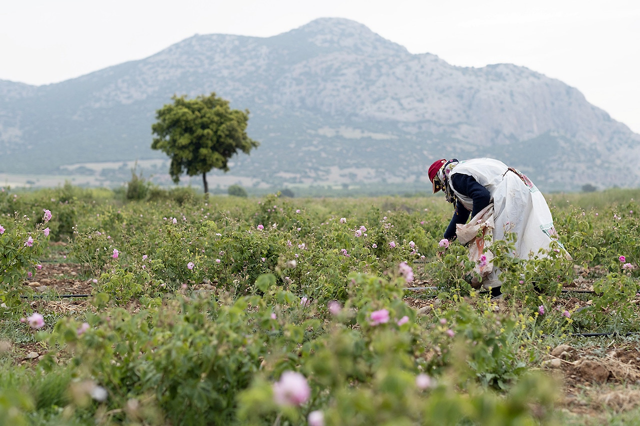 으스파르타 (56).jpg