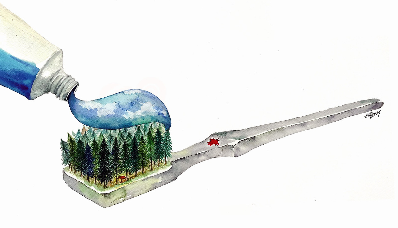 Alberta toothbrush.jpg