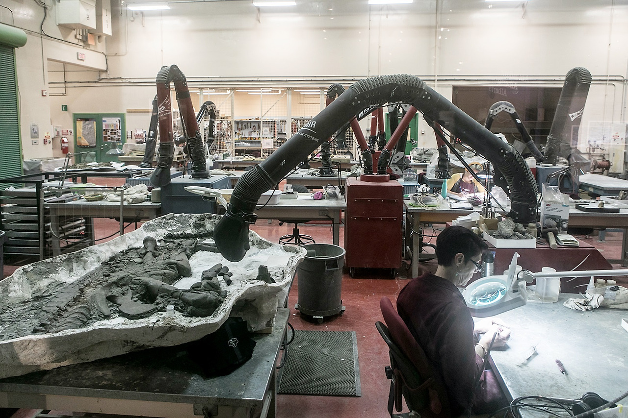 (소컷)로얄티렐박물관_화석발굴복원랩201709전명진 (5).jpg