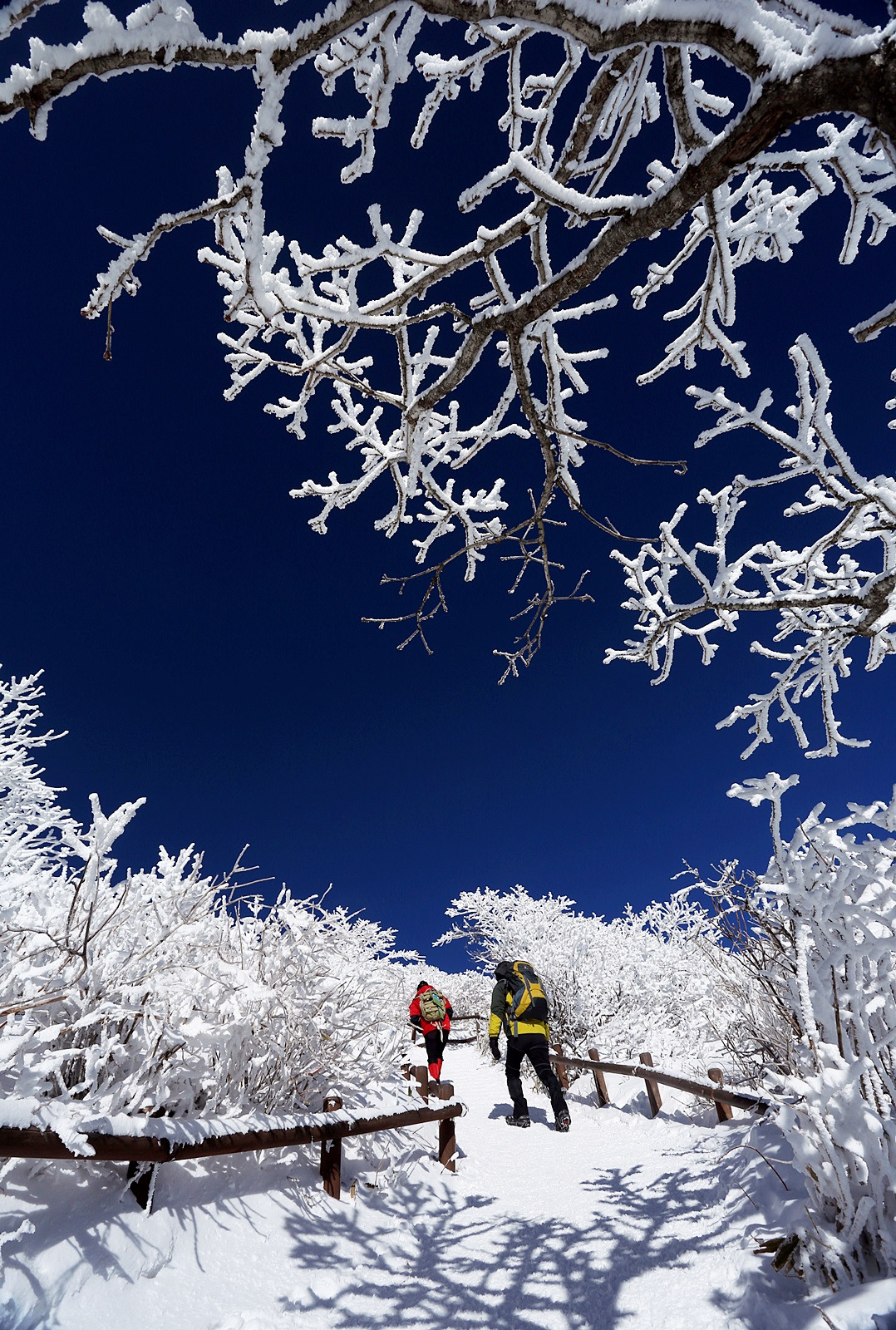 04_파란 하늘.jpg