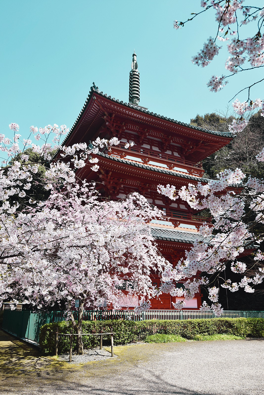 4 미야마기요미즈야먀코스 (2).jpg