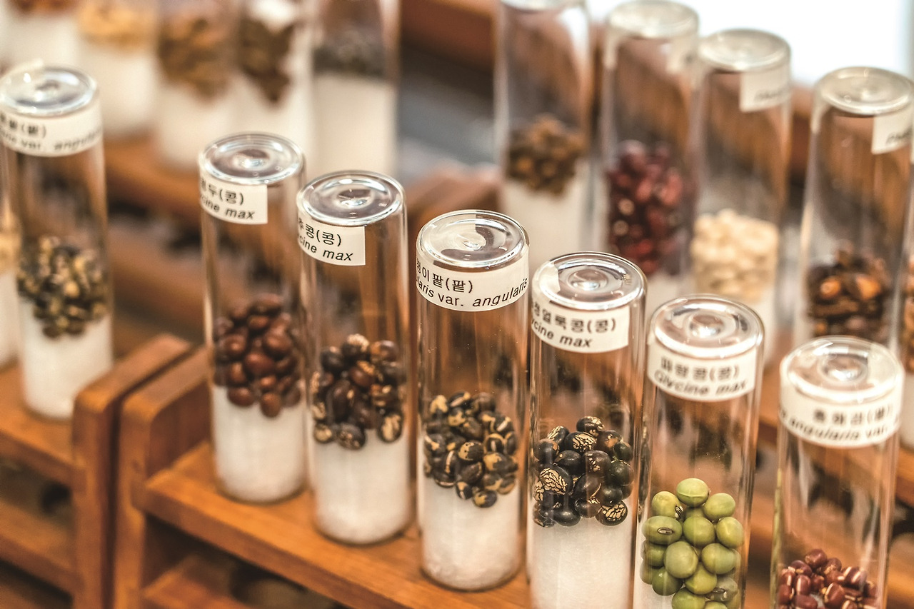 서울식물원 - 씨앗도서관 (13).jpg