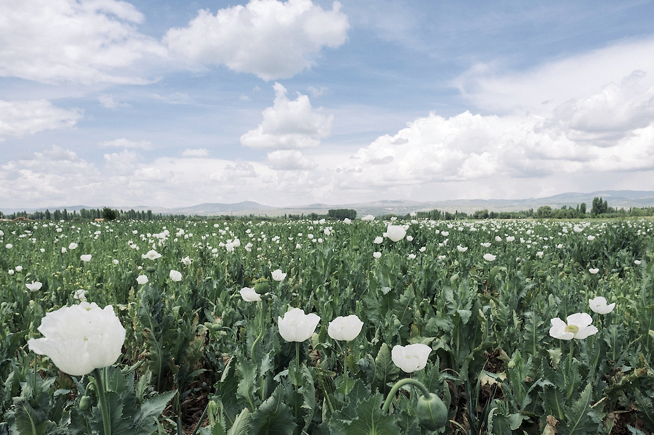 으스파르타 (2).jpg