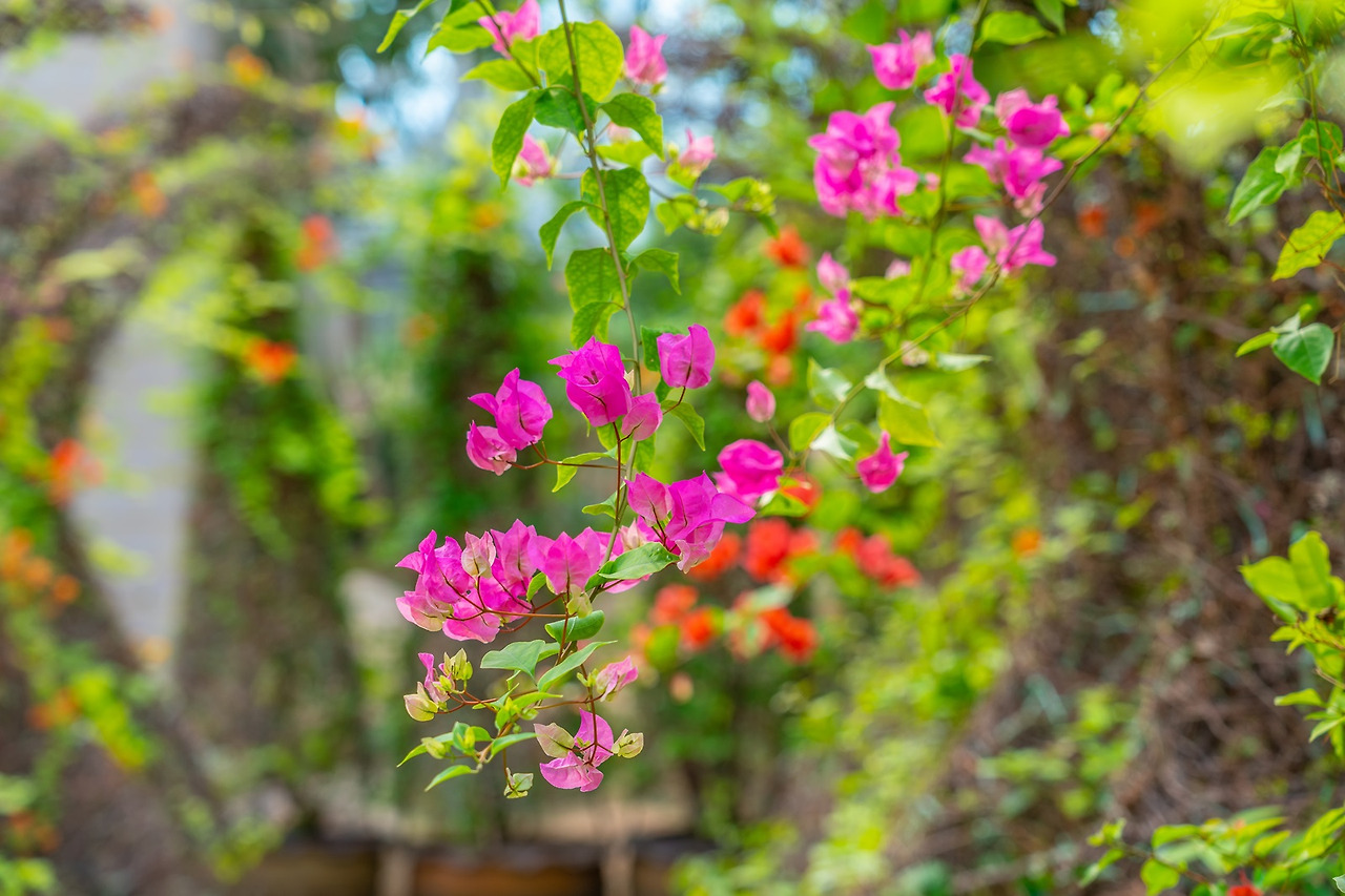 서울식물원 (9).jpg