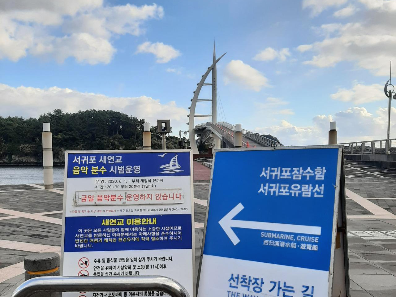 핸드폰_(연주) (11).jpg