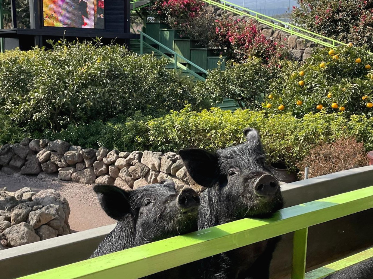 핸드폰_(혜나) (146).jpg