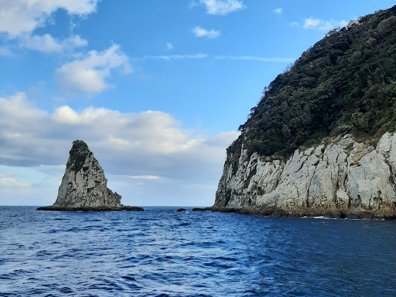 핸드폰_(연주) (18).jpg