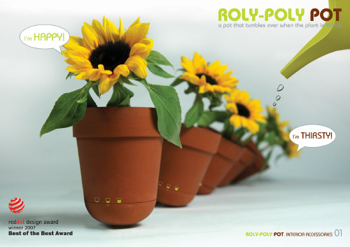 h071023polypot.jpg