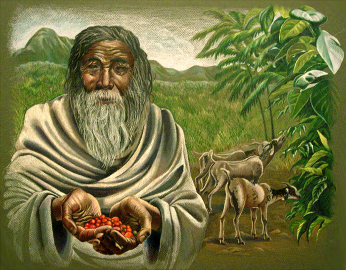 kaldi 칼디 세라핌모아 커피_2.jpg