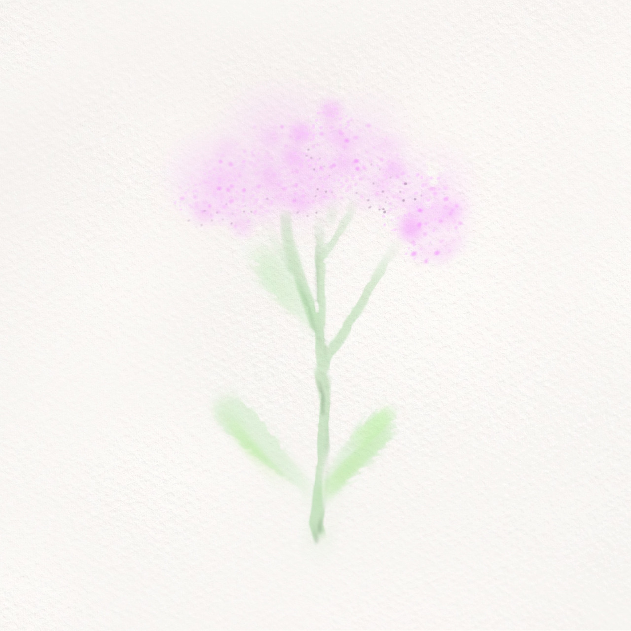 KakaoTalk_20241021_224821203, 02.jpg