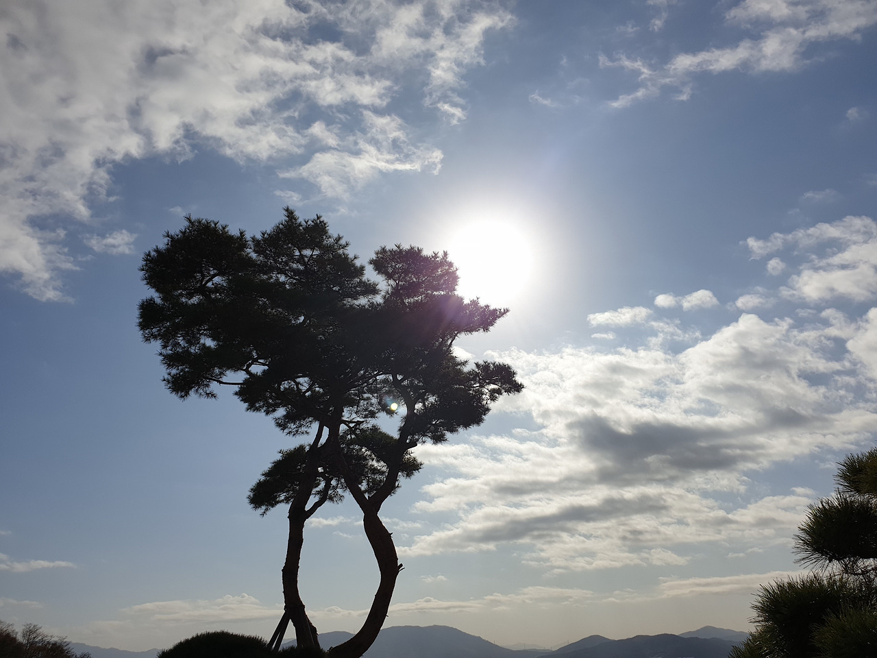 20191119_111132 (2).jpg