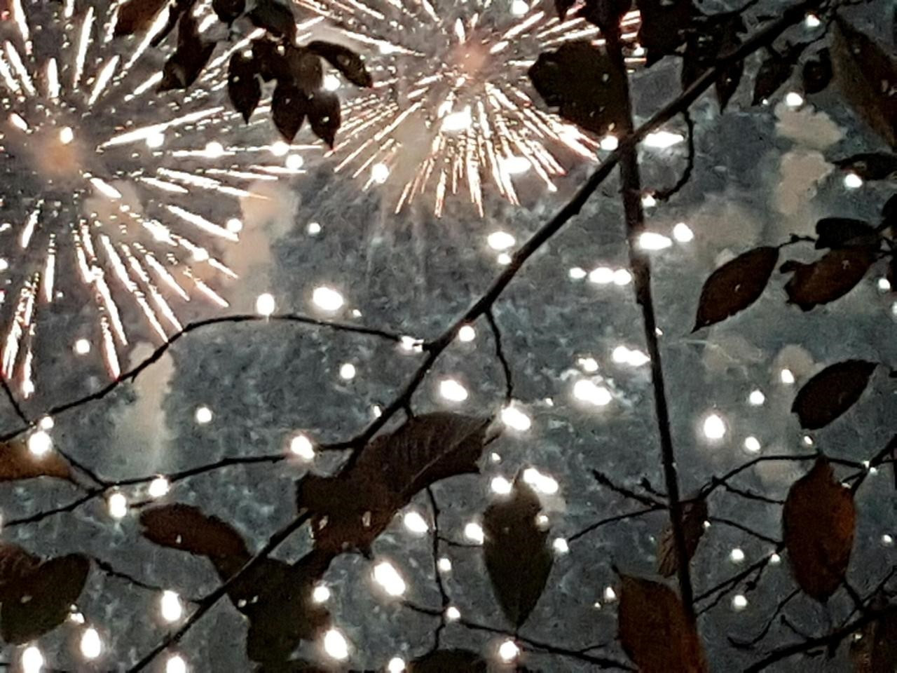 다운로드 (18).jpg