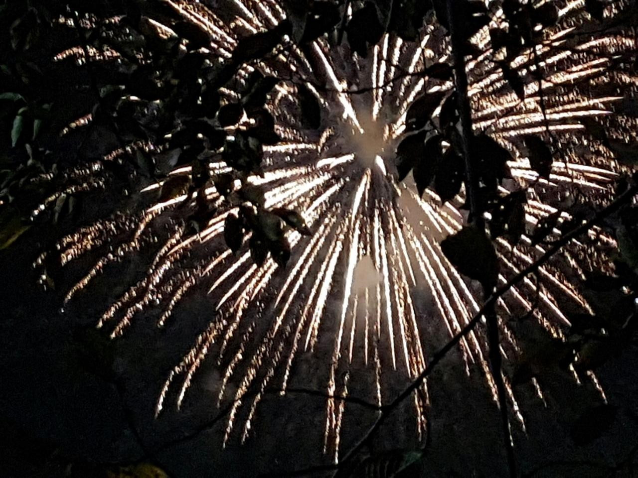 다운로드 (10).jpg