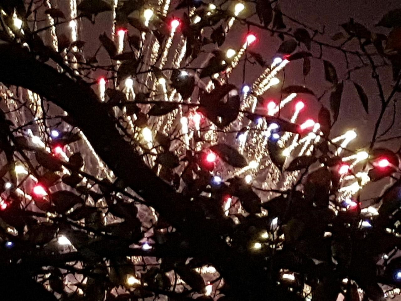 다운로드 (6).jpg