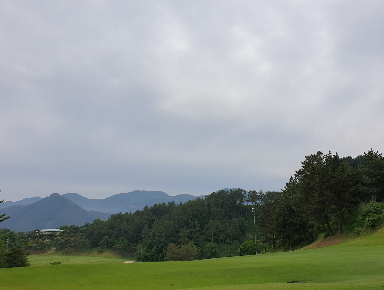 20200525_163219 (2).jpg