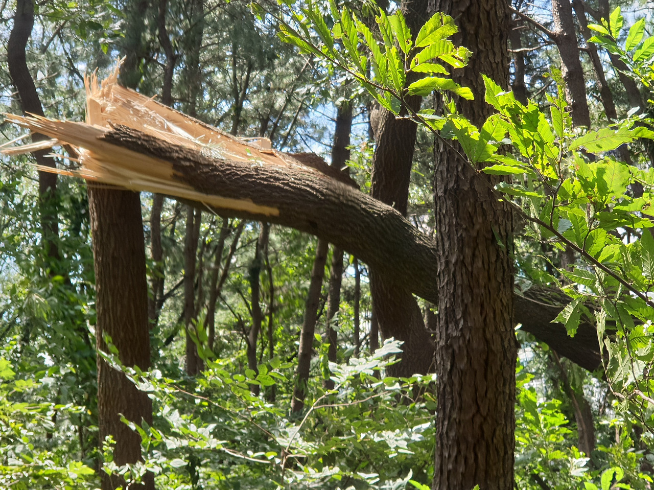 20200903_122752 (2).jpg